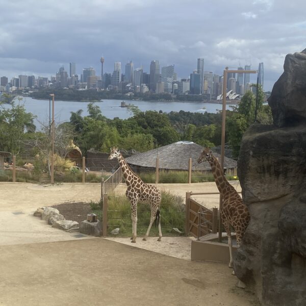 Visit The Taronga Zoo Sydney in Australia with Me