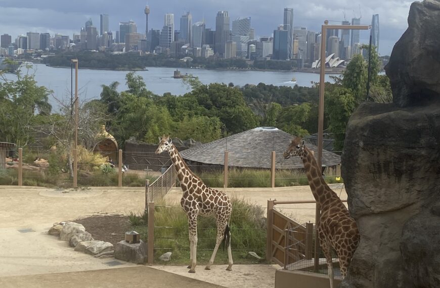 Visit The Taronga Zoo Sydney in Australia with Me