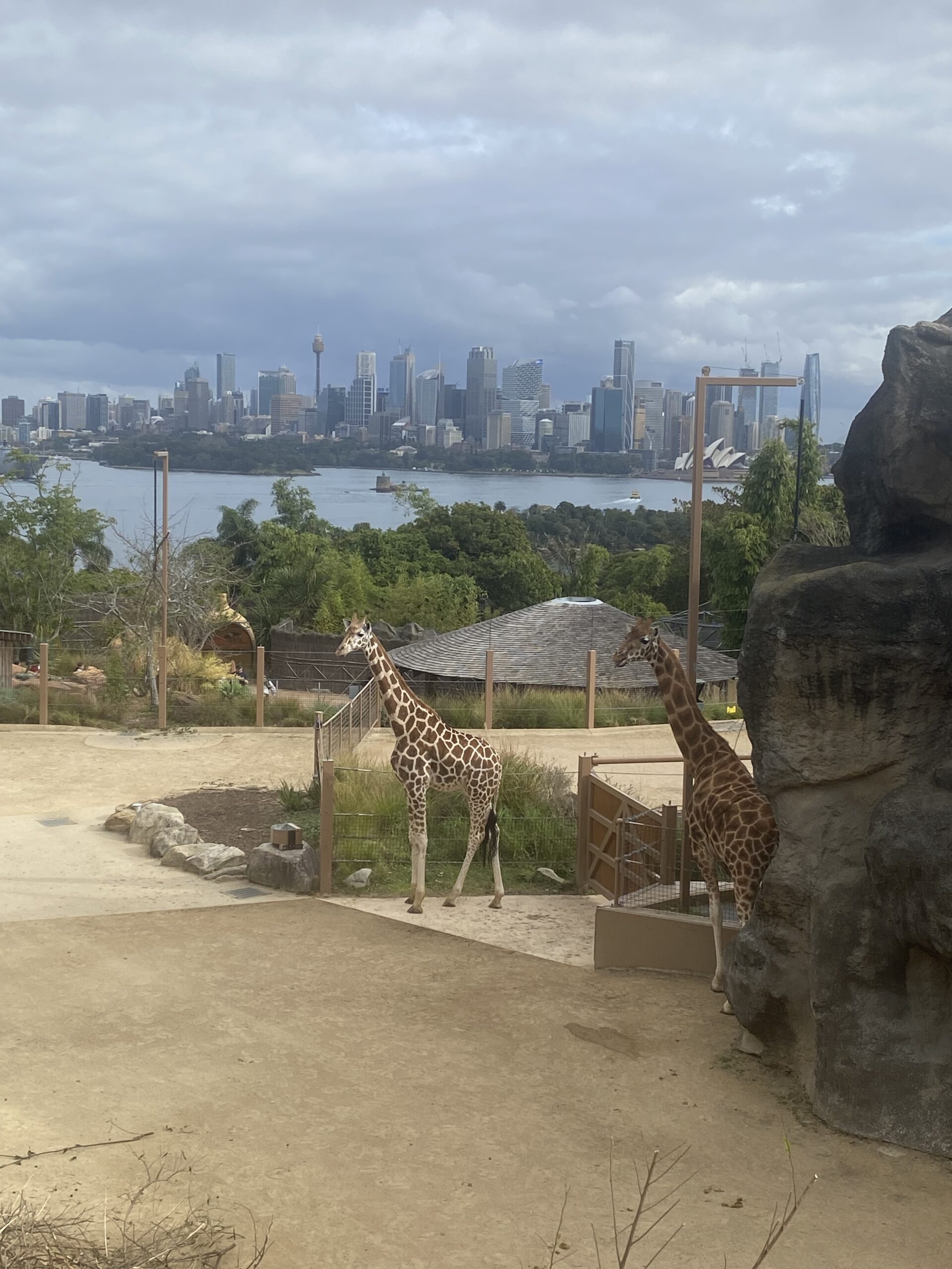 Visit The Taronga Zoo Sydney in Australia with Me