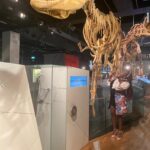 The Melbourne Museum – One of the Top Five Places to Visit…