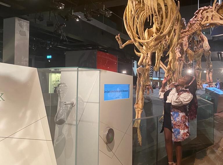 The Melbourne Museum – One of the Top Five Places to Visit in Melbourne